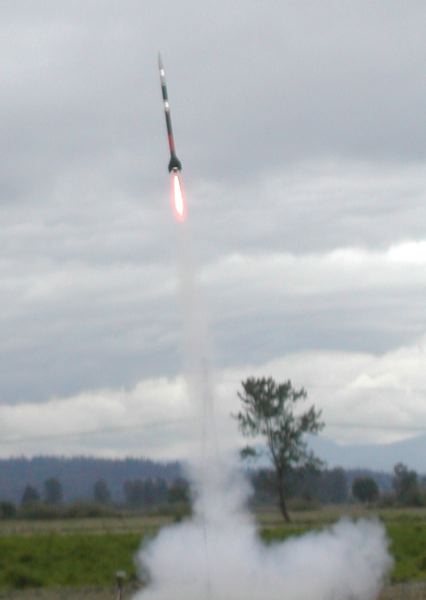black_brant_5.jpg