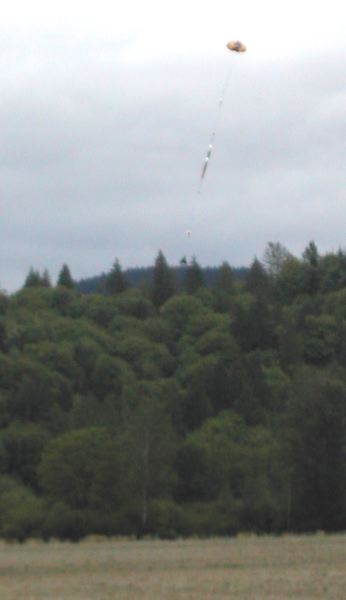 black_brant_7.jpg