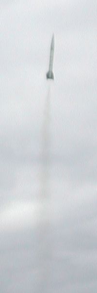 warthog1.jpg